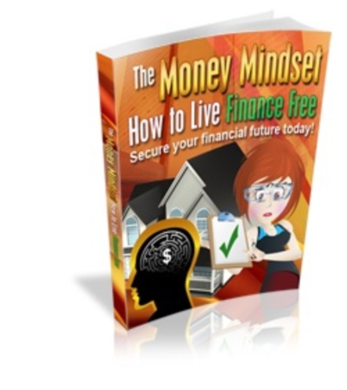 Product picture  The Money Mindset With PLR